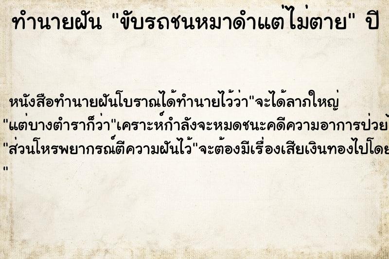 ทำนายฝัน ขับรถชนหมาดำแต่ไม่ตาย