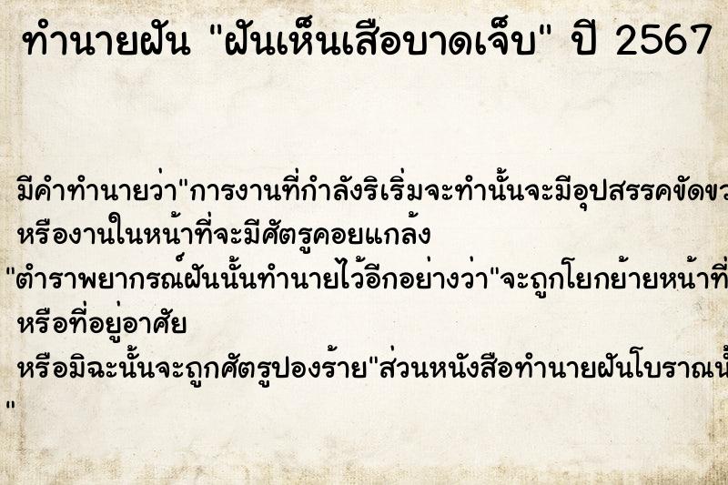 ทำนายฝัน ฝันเห็นเสือบาดเจ็บ