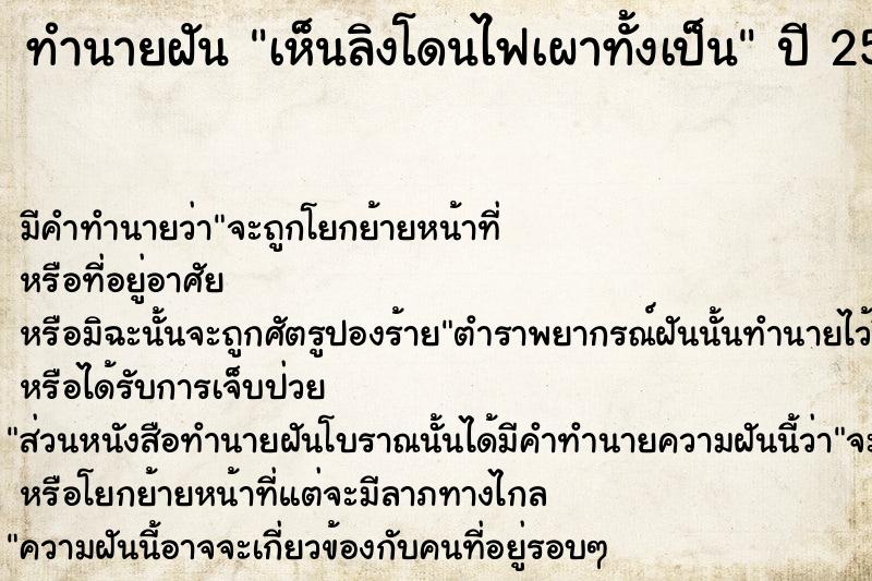 ทำนายฝัน #ทำนายฝัน #เห็นลิงโดนไฟเผาทั้งเป็น  เลขนำโชค 