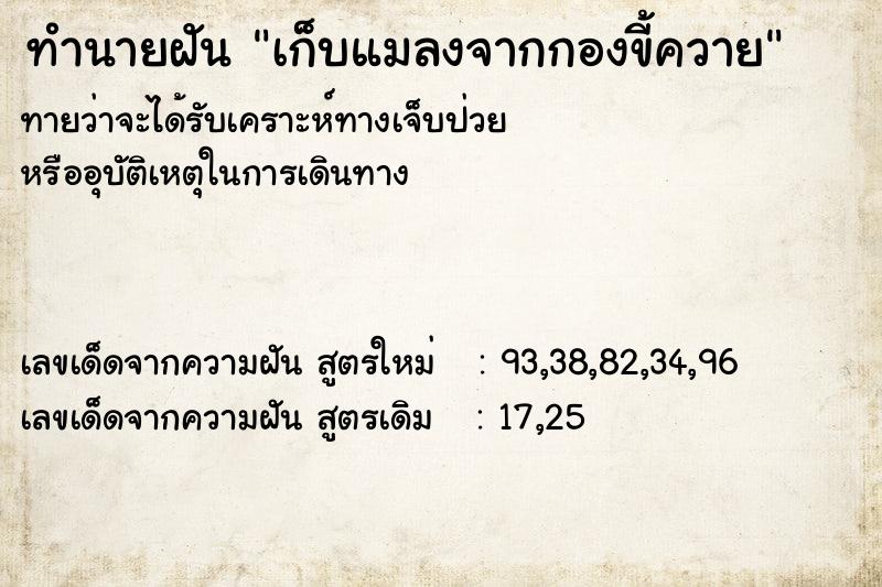 ทำนายฝัน เก็บแมลงจากกองขี้ควาย