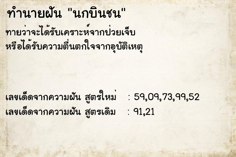 ทำนายฝัน #ทำนายฝัน #นกบินชน  เลขนำโชค 