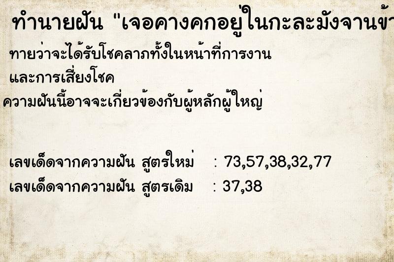 ทำนายฝัน เจอคางคกอยู่ในกะละมังจานข้าว