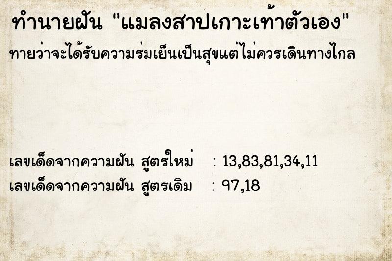 ทำนายฝัน แมลงสาปเกาะเท้าตัวเอง