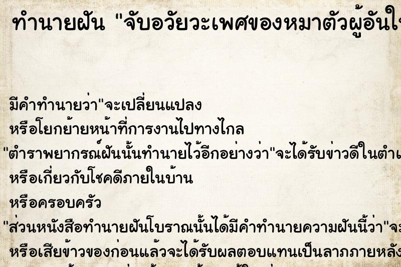 ทำนายฝัน จับอวัยวะเพศของหมาตัวผู้อันใหญ่มาก