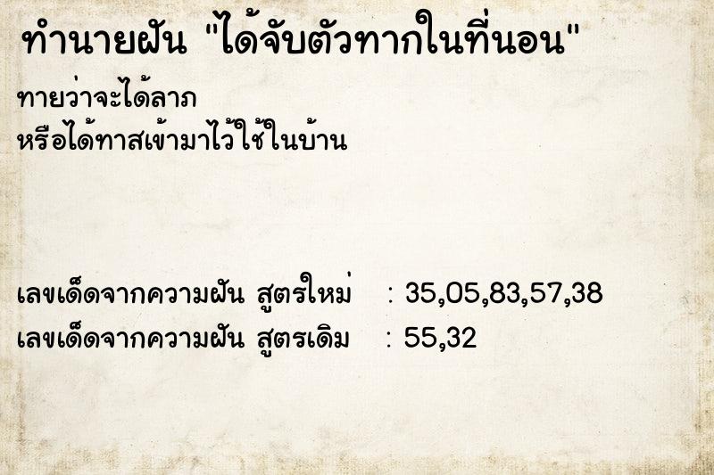 ทำนายฝัน ได้จับตัวทากในที่นอน ตำราโบราณ แม่นที่สุดในโลก