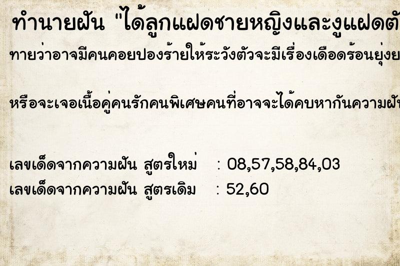 ทำนายฝัน ได้้ลูกแฝดชายหญิงและงูแฝดตัวผู้กับตัวเมีย