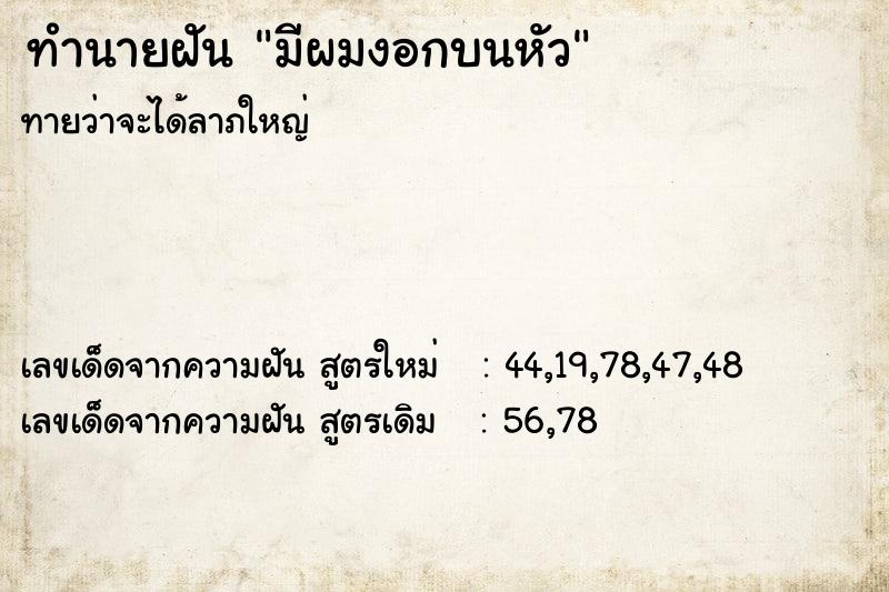 ทำนายฝัน มีผมงอกบนหัว