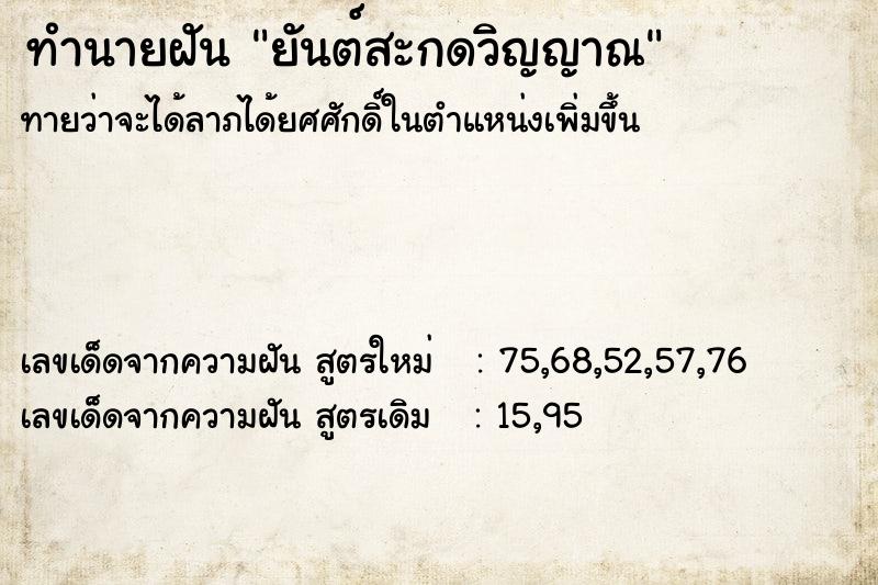 ทำนายฝัน ยันต์สะกดวิญญาณ  เลขนำโชค 