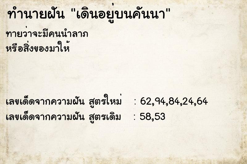 ทำนายฝัน เดินอยู่บนคันนา