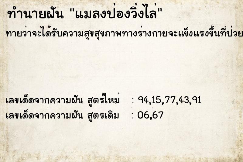 ทำนายฝัน แมลงป่องวิ่งไล่