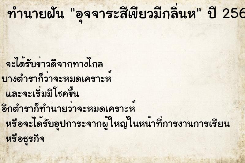 ทำนายฝัน อุจจาระสีเขียวมีกลิ่นห