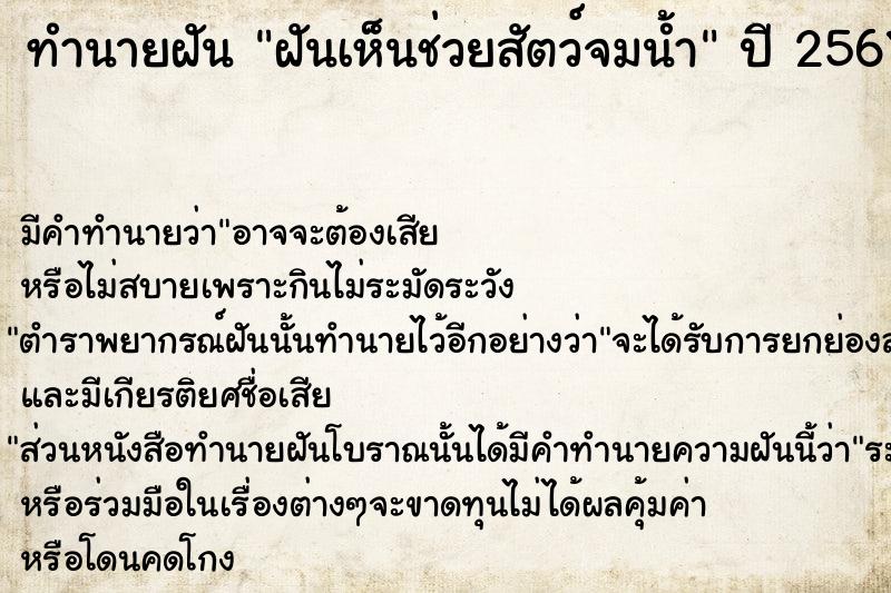 ทำนายฝัน ฝันเห็นช่วยสัตว์จมน้ำ