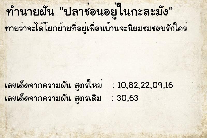 ทำนายฝัน ปลาช่อนอยู่ในกะละมัง