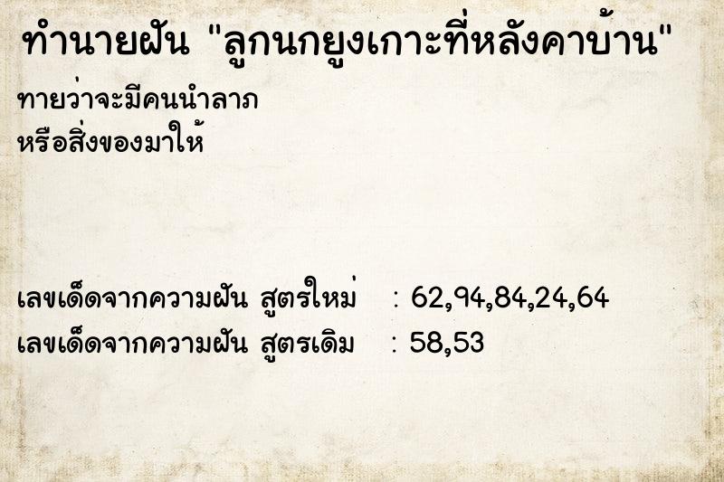 ทำนายฝัน ลูกนกยูงเกาะที่หลังคาบ้าน