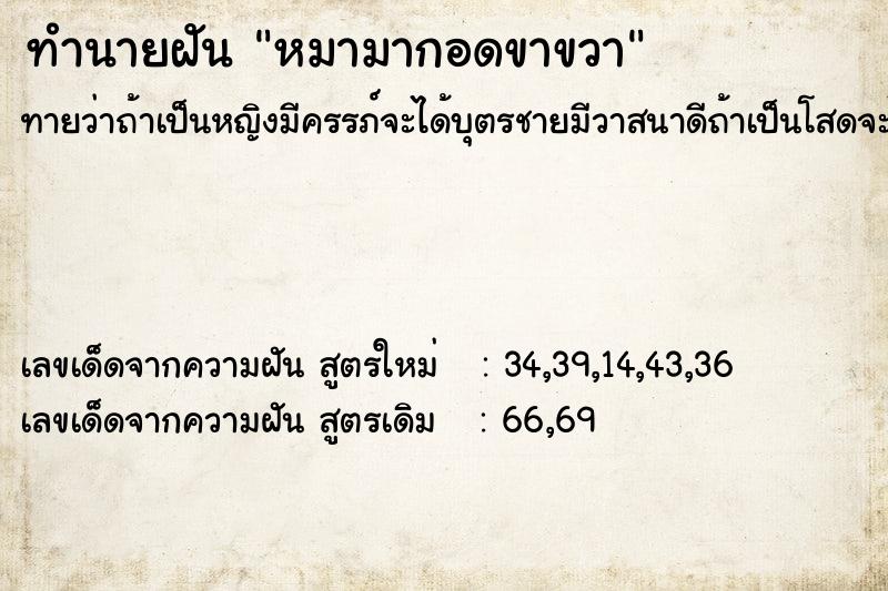 ทำนายฝัน หมามากอดขาขวา