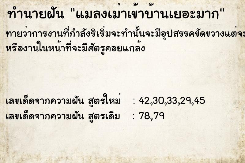 ทำนายฝัน แมลงเม่าเข้าบ้านเยอะมาก