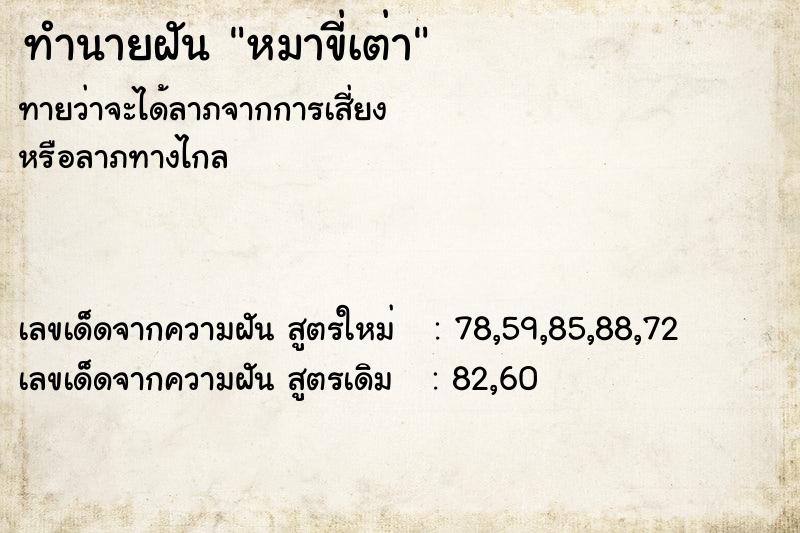 ทำนายฝัน หมาขี่เต่า  เลขนำโชค 