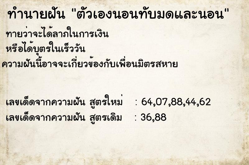 ทำนายฝัน ตัวเองนอนทับมดและนอน