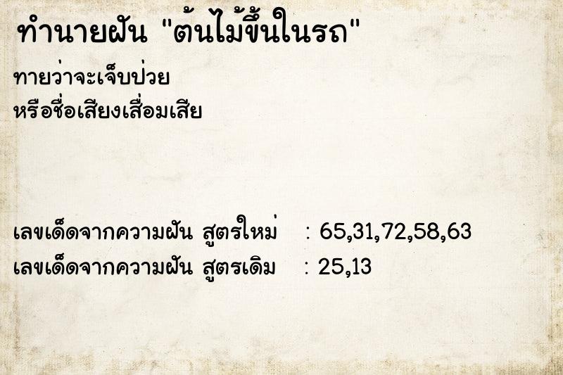 ทำนายฝัน ต้นไม้ขึ้นในรถ