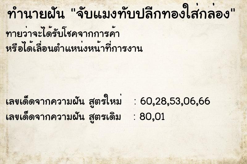 ทำนายฝัน จับแมงทับปลีกทองใส่กล่อง