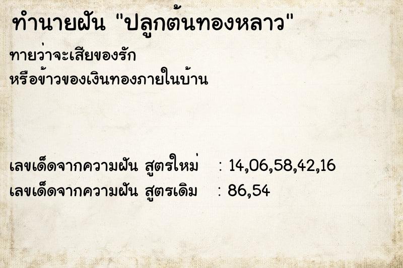 ทำนายฝัน ปลูกต้นทองหลาว