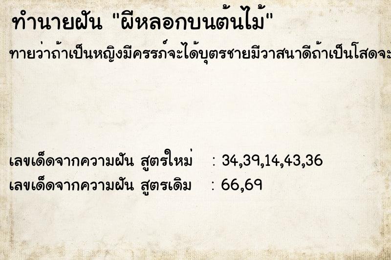 ทำนายฝัน ผีหลอกบนต้นไม้