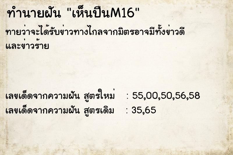 ทำนายฝัน เห็นปืนM16