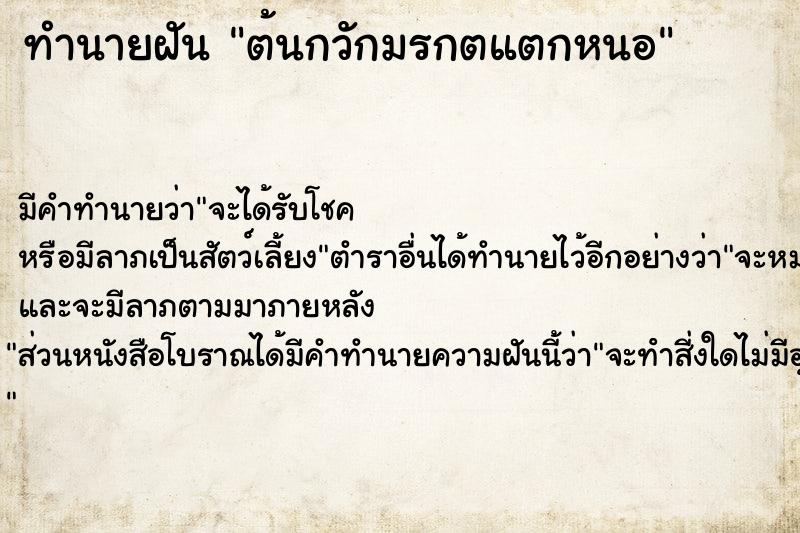 ทำนายฝัน ต้นกวักมรกตแตกหนอ