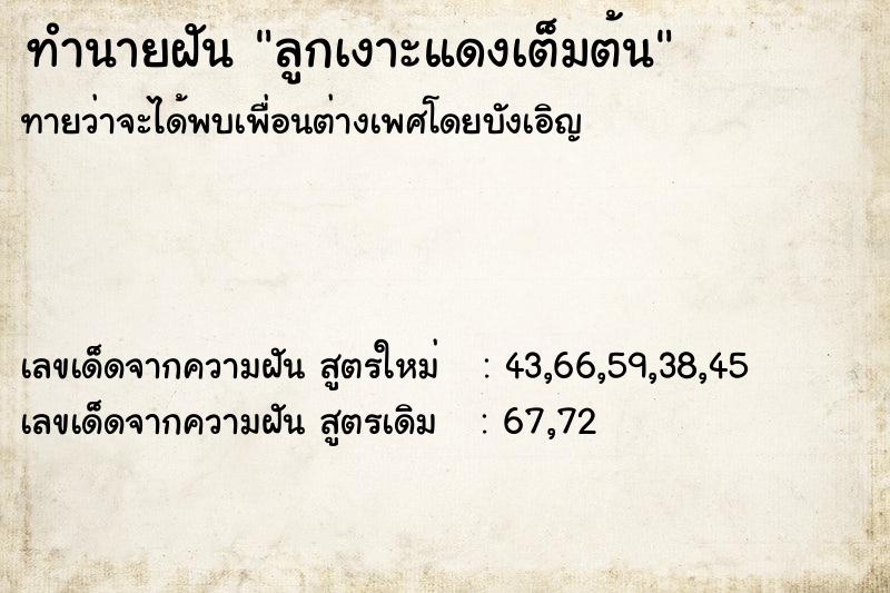 ทำนายฝัน #ทำนายฝัน #ลูกเงาะแดงเต็มต้น  เลขนำโชค 