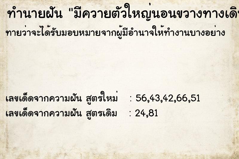 ทำนายฝัน มีควายตัวใหญ่นอนขวางทางเดิน