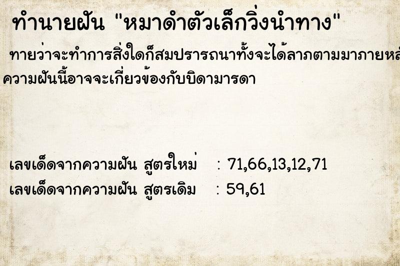 ทำนายฝัน หมาดำตัวเล็กวิ่งนำทาง