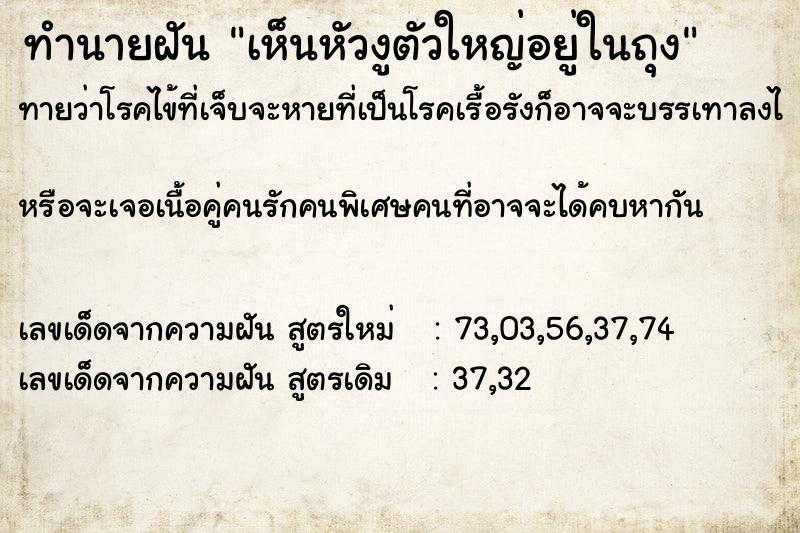 ทำนายฝัน เห็นหัวงูตัวใหญ่อยู่ในถุง  เลขนำโชค 