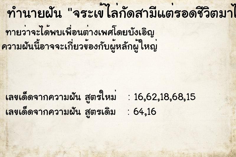 ทำนายฝัน จระเข้ไล่กัดสามีแต่รอดชีวิตมาได้