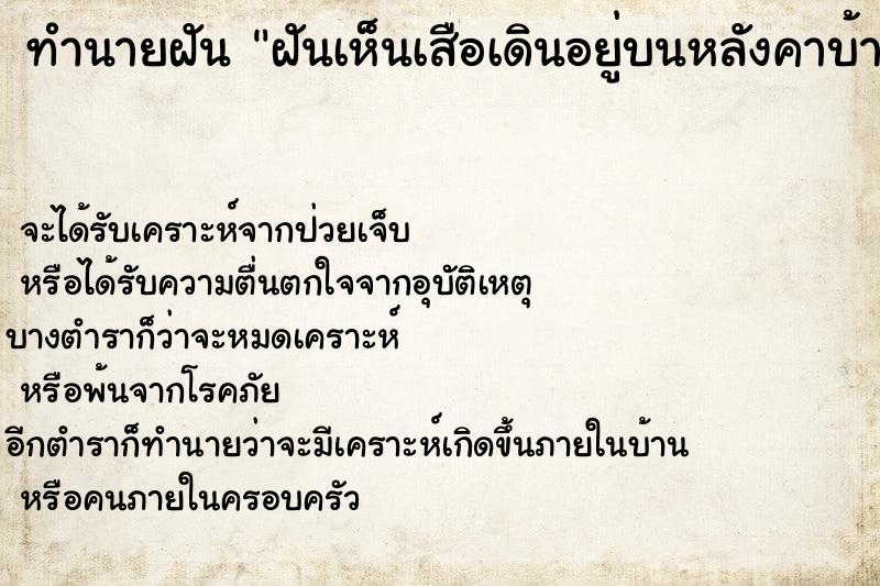 ทำนายฝัน ฝันเห็นเสือเดินอยู่บนหลังคาบ้าน