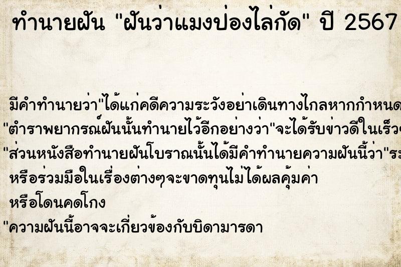 ทำนายฝัน ฝันว่าแมงป่องไล่กัด  เลขนำโชค 