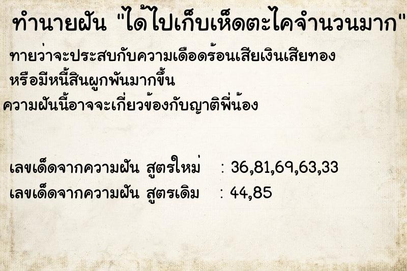 ทำนายฝัน ได้ไปเก็บเห็ดตะไคจำนวนมาก