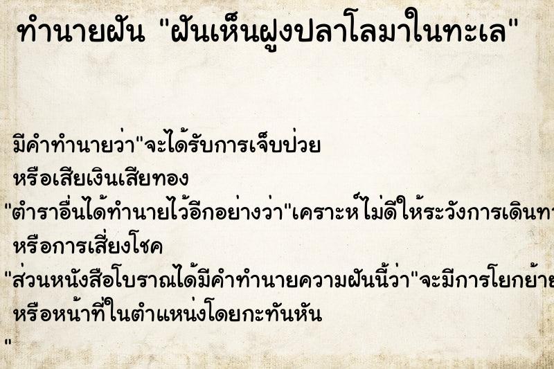 ทำนายฝัน ฝันเห็นฝูงปลาโลมาในทะเล