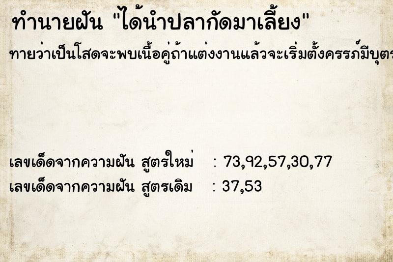 ทำนายฝัน ได้นำปลากัดมาเลี้ยง