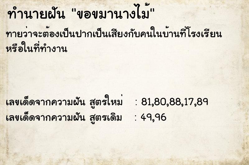 ทำนายฝัน ขอขมานางไม้