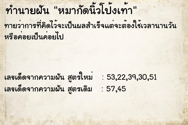 ทำนายฝัน หมากัดนิ้วโป้งเท้า