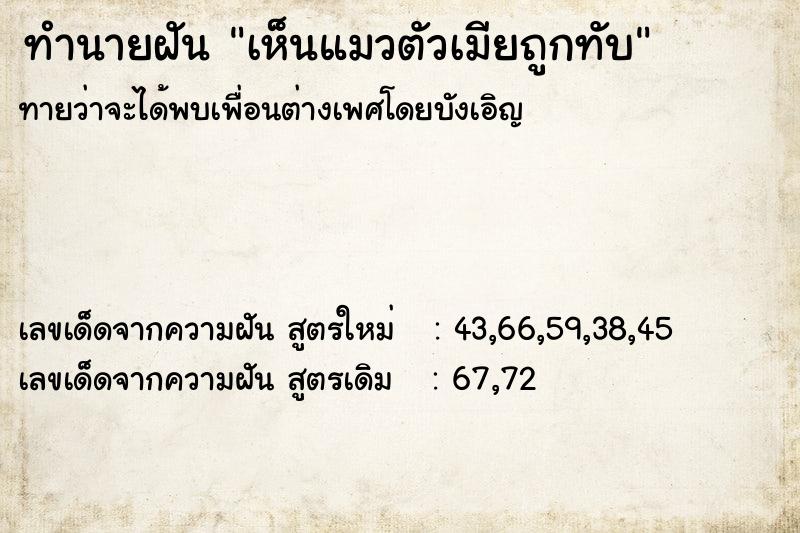 ทำนายฝัน เห็นแมวตัวเมียถูกทับ