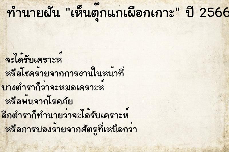 ทำนายฝัน เห็นตุ๊กแกเผือกเกาะ