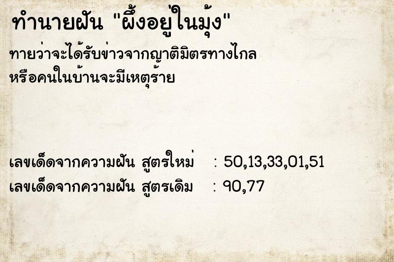 ทำนายฝัน ผึ้งอยู่ในมุ้ง