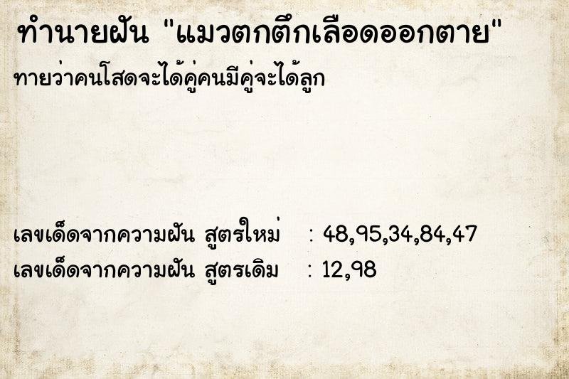 ทำนายฝัน แมวตกตึกเลือดออกตาย  เลขนำโชค 