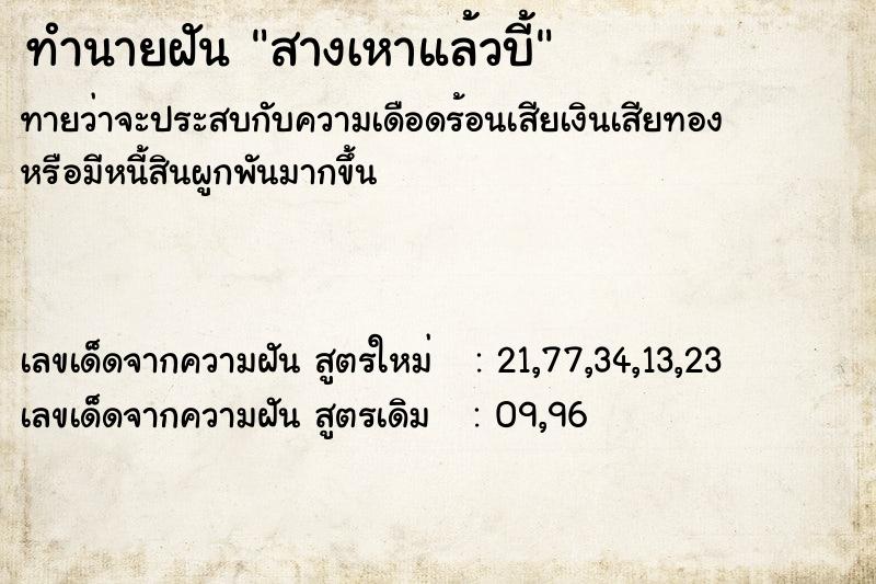 ทำนายฝัน สางเหาแล้วบี้