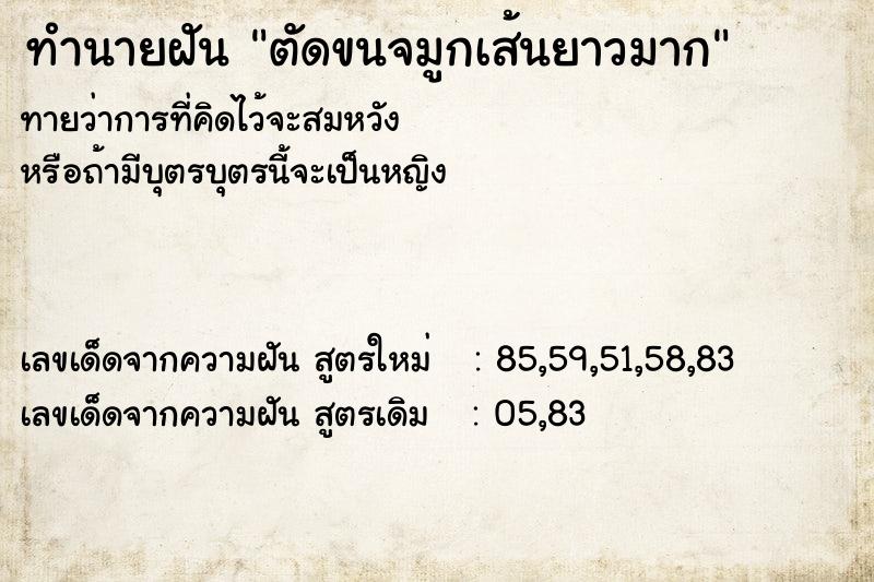 ทำนายฝัน ตัดขนจมูกเส้นยาวมาก  เลขนำโชค 