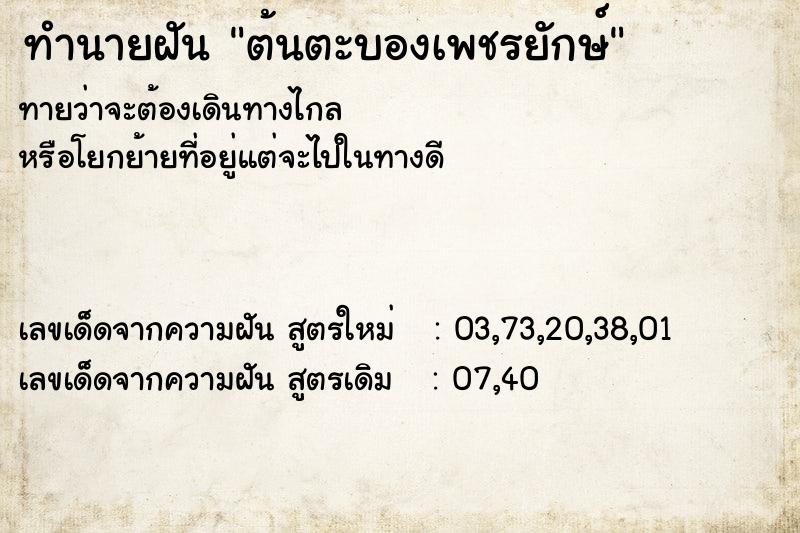 ทำนายฝัน ต้นตะบองเพชรยักษ์