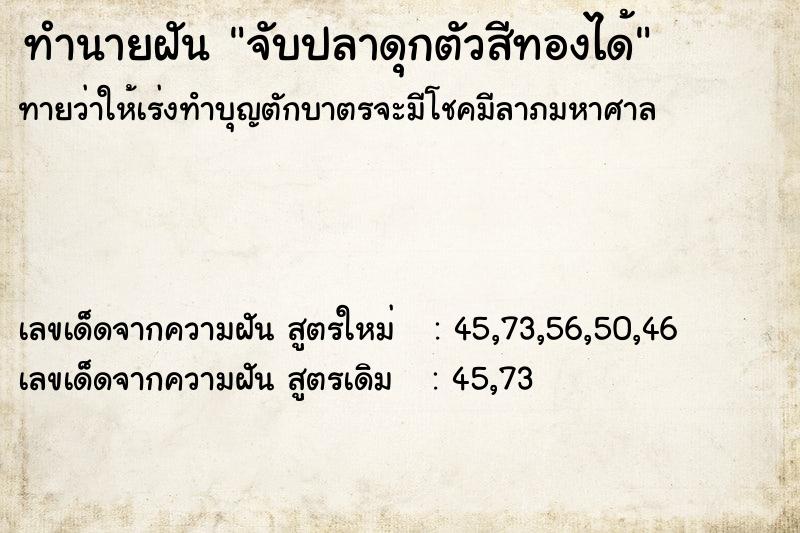 ทำนายฝัน จับปลาดุกตัวสีทองได้  เลขนำโชค 