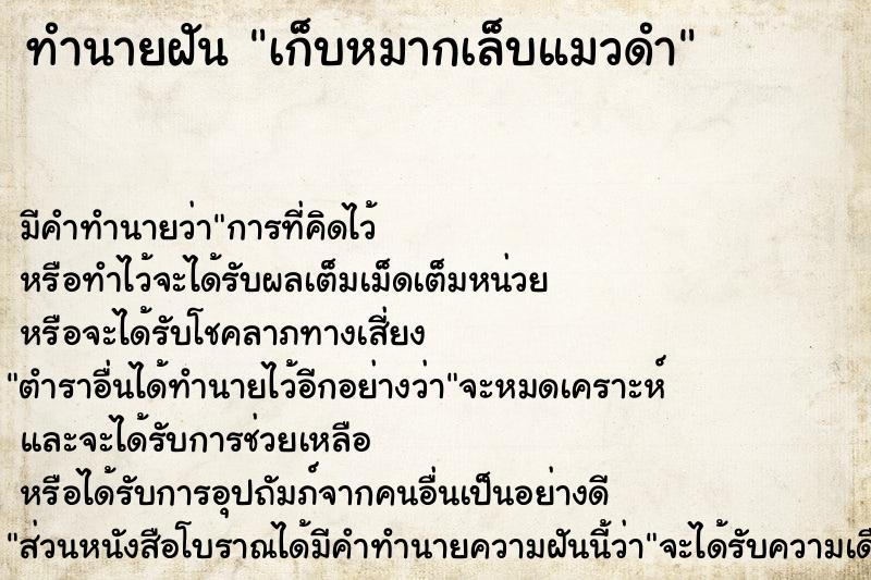 ทำนายฝัน เก็บหมากเล็บแมวดำ