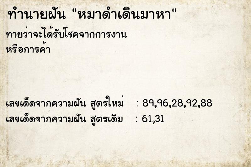 ทำนายฝัน หมาดำเดินมาหา